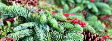 Holiday Greenery Now In Season!