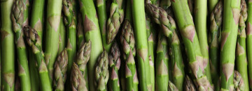 Fresh Michigan Asparagus Now in Season!