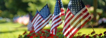 Open Memorial Day!