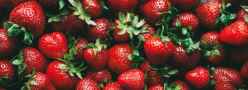 Sweet, Michigan Strawberries