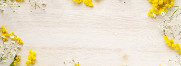 Now Hiring! Multiple Positions Available