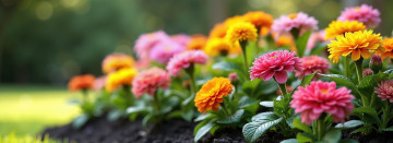 Time to Plant!