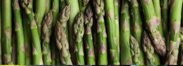 Fresh Michigan Asparagus Now in Season!