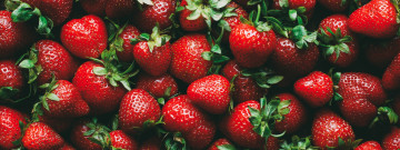 Sweet, Michigan Strawberries