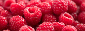 Michigan Raspberries Now in Season!
