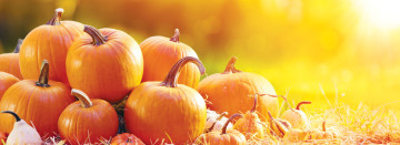 Celebrate Fall at Sawyer Home & Garden Center