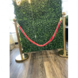 Gold Stanchion with Red Velvet Rope