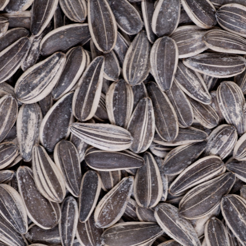 Special Offers, Coupons, Storewide Specials, Discounts, Savings