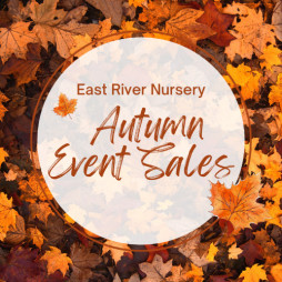 East River Nursery Autumn Event Sales