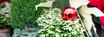 Let us Design Your Custom Containers and Planters