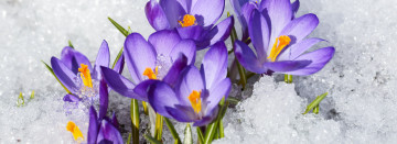 ORDER ONLINE SERVICE FOR CURBSIDE PICKUP OR DELIVERY