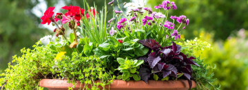 Let us Design Your Custom Containers and Planters