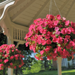 $3 OFF ANY IN STOCK HANGING BASKETS OR DECORATIVE COMBINATION PLANTERS