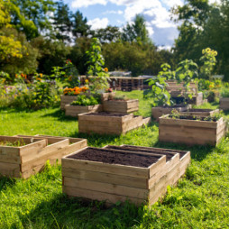Raised Bed Gardening Workshop — Walpole Location Only