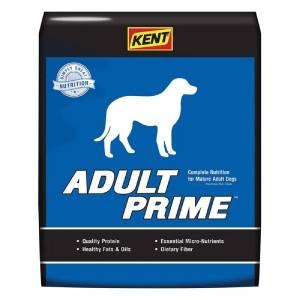 Kent Active Dog Food: Fuel Your Dog's Energy Levels