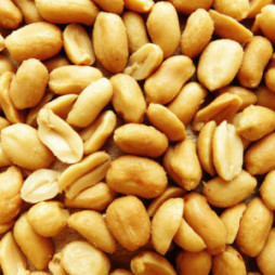 Fresh Raw and Roasted Shelled and In-Shell Peanuts