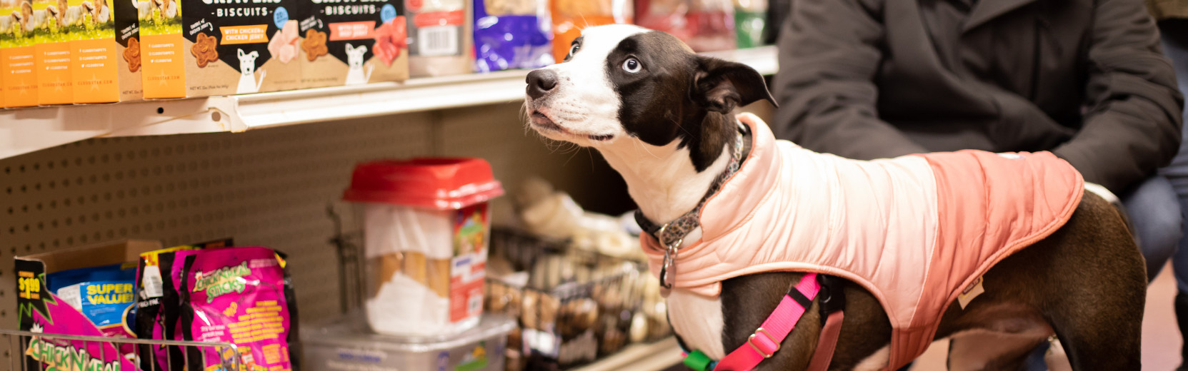 Shop Local or Shop Online at Clyde's Feed & Animal Center Pet Food, Pet Supplies, Equine