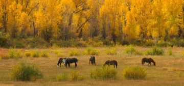 Welcome to Bryan & Brittingham