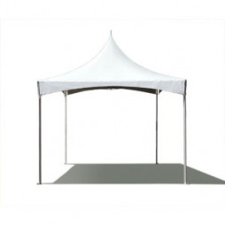 10' x 10' High Peak Frame Party Tent