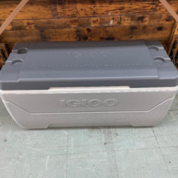 Igloo Cooler