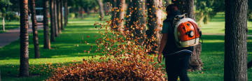 Fall Lawn Care Savings