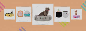 Squishmallow Delights for Your Furry Companion