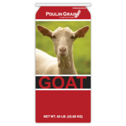 Poulin Grain Sweet Goat 18%