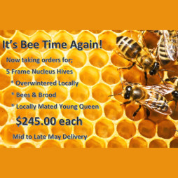 It's Bee Time Again!