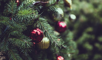 Creating New Christmas Traditions at Walnut Ridge