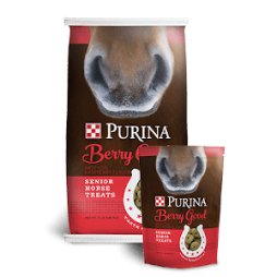 Purina® Berry Good® Senior Horse Treats