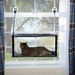 Kitty Sill - Double Stack EZ Window Mount