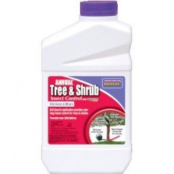 Annual Tree & Shrub Conc