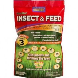 Insect & Feed (Phase 3)