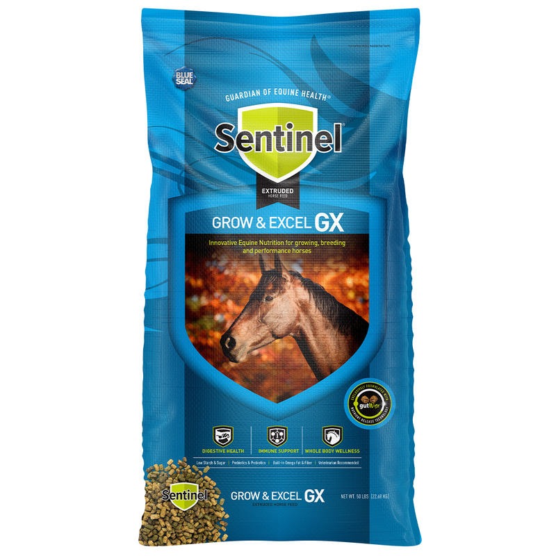 Sentinel fashion carb s