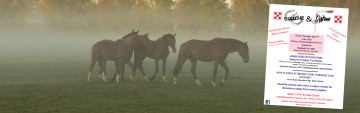 Join Us For Our Equine & Wine Seminar