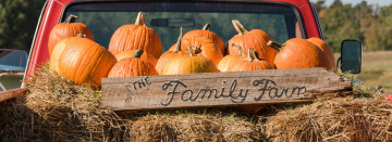 Shop Fall Favorites