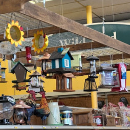 Bird Feeders & Supplies