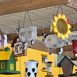 Bird Feeders & Supplies