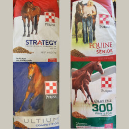 Keep Your Horses Happy & Healthy This Fall!