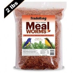 Tradeking 2lb Dried Mealworm Chicken Treat