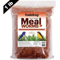 Tradeking 1lb Dried Mealworm Chicken Treat