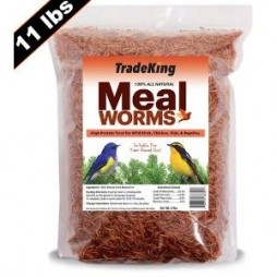 Tradeking 11lb Dried Mealworm Chicken Treat