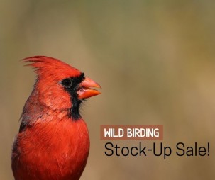 Wild Bird Stock-Up Sale