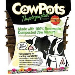 Cowpots 3in Square 12 Pots/Pack