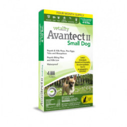 Avantect II for Small Dogs 4 - 10 lbs. 4 pack Flea & Tick