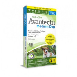 Avantect II for Med Dogs 11 - 20 lbs. 4 pack for Flea & Tick