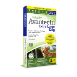 Avantect II for XLRG Dogs 55 + Lbs. 4 pack for Flea & Tick