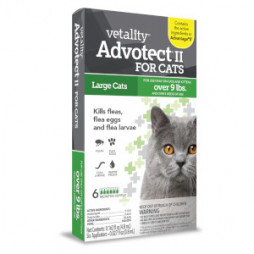Advotect II for Cats 9 + lbs. for Fleas 6 pack