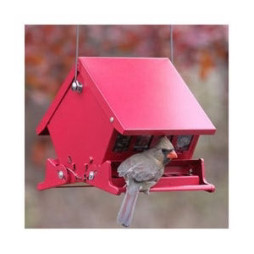 Birdfeeder - Mini Absolute Squirrel Resistant Feeder