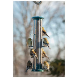 Birdfeeder - Plastic 8 Port Finch Tube Feeder